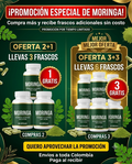 Moringa Oleifera 100% Pura