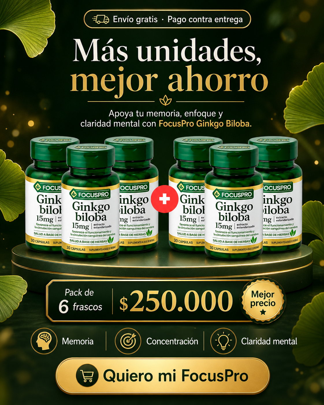 FocusPro Mente Activa